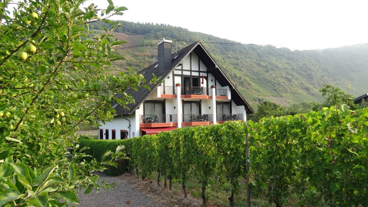 Haus Weingarten Appartements-Zimmer Ernst Chambre photo